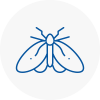 Moth Control Specialists In Gorebridge